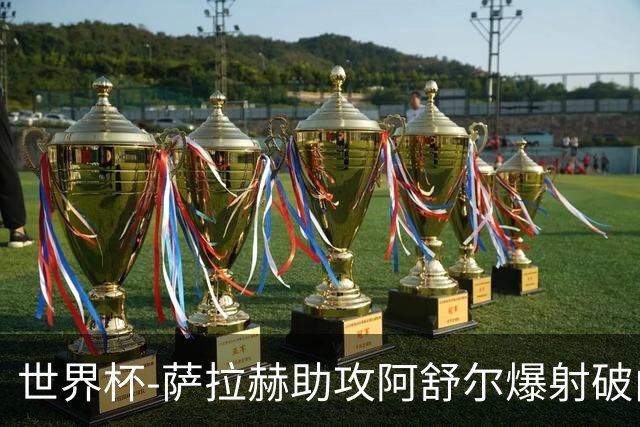 世界杯-萨拉赫助攻阿舒尔爆射破门 埃及半场1-0比利时
