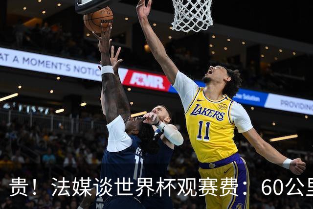 贵！法媒谈世界杯观赛费：60公里火车98美元，有人4天花4500欧元